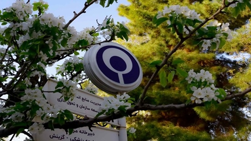 دانشگاه علوم توانبخشی و سلامت اجتماعی در جمع دانشگاه‌های برتر اخلاق بالینی کشور قرار گرفت